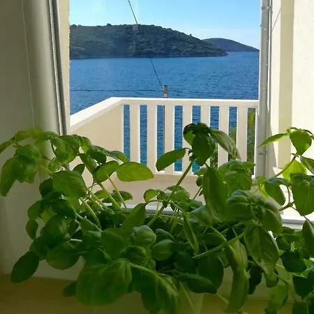 Apartment Ana Marija Savar