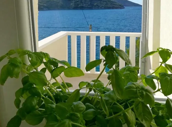 Apartman Ana Marija Savar